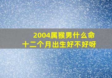 2004属猴男什么命十二个月出生好不好呀