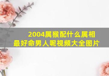 2004属猴配什么属相最好命男人呢视频大全图片