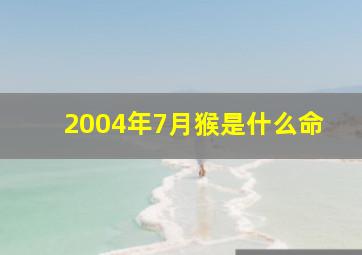 2004年7月猴是什么命