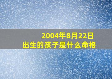 2004年8月22日出生的孩子是什么命格