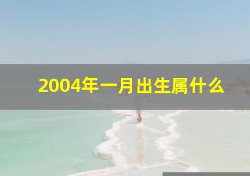 2004年一月出生属什么