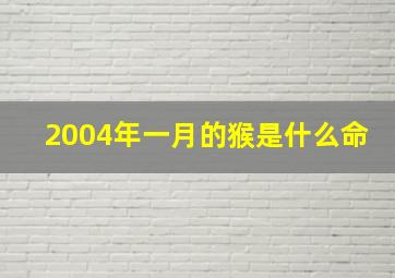 2004年一月的猴是什么命