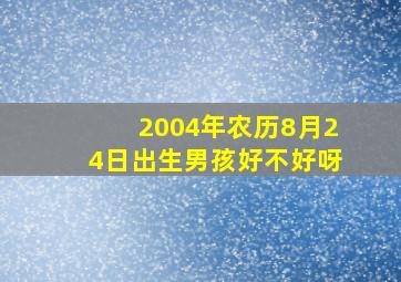 2004年农历8月24日出生男孩好不好呀