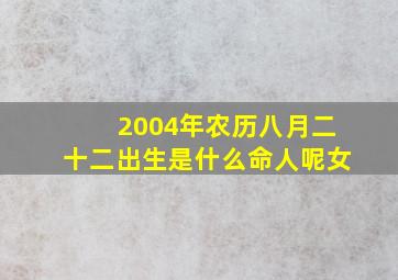 2004年农历八月二十二出生是什么命人呢女