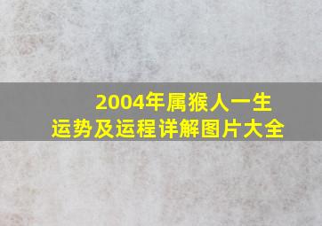 2004年属猴人一生运势及运程详解图片大全