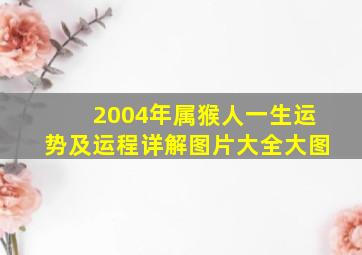 2004年属猴人一生运势及运程详解图片大全大图