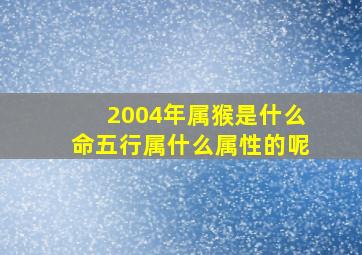 2004年属猴是什么命五行属什么属性的呢