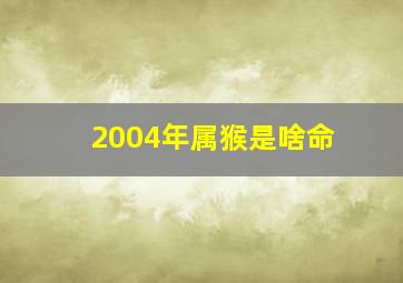 2004年属猴是啥命