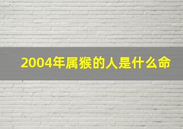 2004年属猴的人是什么命