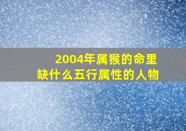 2004年属猴的命里缺什么五行属性的人物