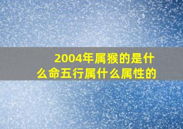 2004年属猴的是什么命五行属什么属性的