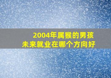 2004年属猴的男孩未来就业在哪个方向好