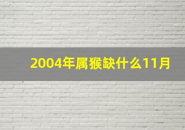 2004年属猴缺什么11月