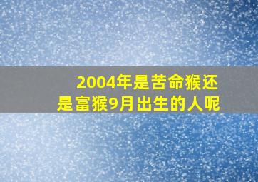 2004年是苦命猴还是富猴9月出生的人呢