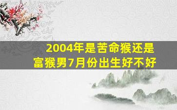 2004年是苦命猴还是富猴男7月份出生好不好