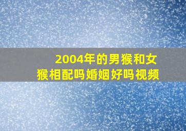 2004年的男猴和女猴相配吗婚姻好吗视频