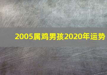 2005属鸡男孩2020年运势