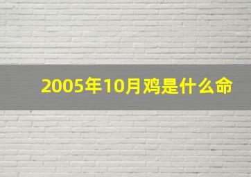 2005年10月鸡是什么命