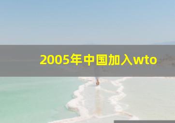 2005年中国加入wto