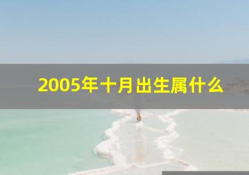 2005年十月出生属什么