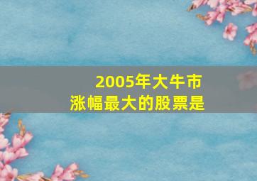 2005年大牛市涨幅最大的股票是