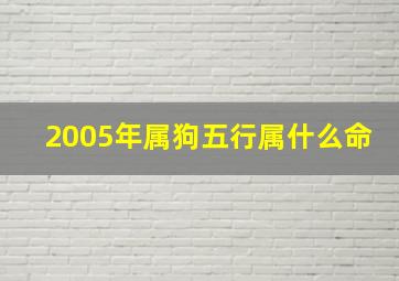 2005年属狗五行属什么命