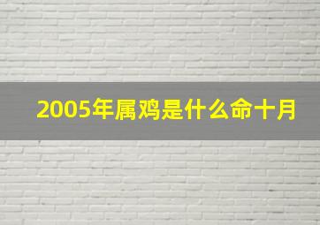 2005年属鸡是什么命十月