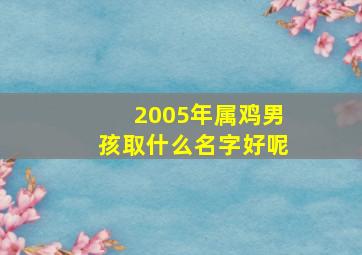 2005年属鸡男孩取什么名字好呢