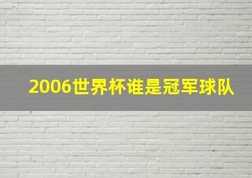 2006世界杯谁是冠军球队