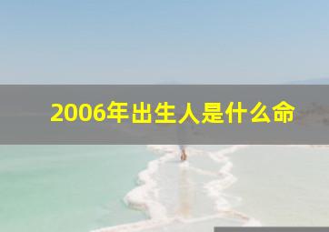 2006年出生人是什么命