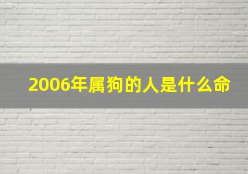 2006年属狗的人是什么命