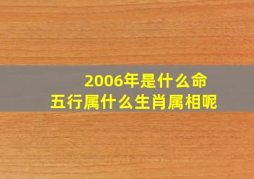 2006年是什么命五行属什么生肖属相呢