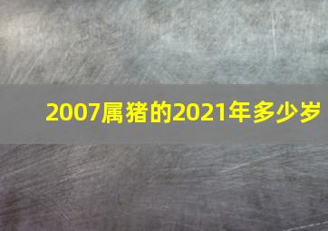 2007属猪的2021年多少岁