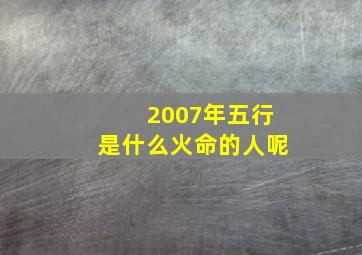 2007年五行是什么火命的人呢