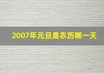 2007年元旦是农历哪一天