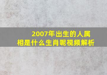 2007年出生的人属相是什么生肖呢视频解析