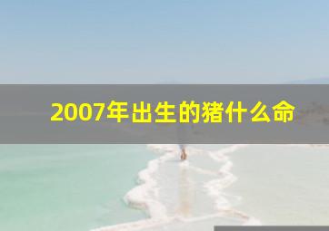 2007年出生的猪什么命