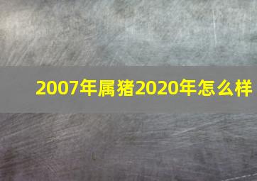 2007年属猪2020年怎么样