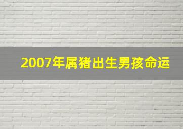 2007年属猪出生男孩命运