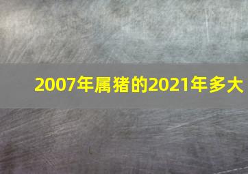 2007年属猪的2021年多大