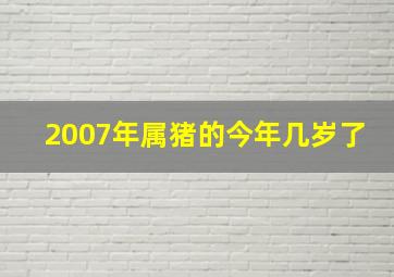 2007年属猪的今年几岁了