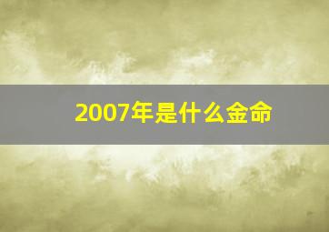 2007年是什么金命