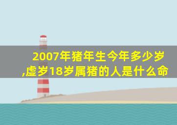 2007年猪年生今年多少岁,虚岁18岁属猪的人是什么命