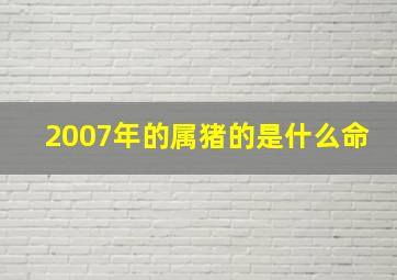 2007年的属猪的是什么命