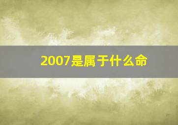 2007是属于什么命