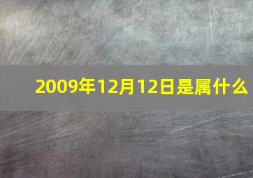 2009年12月12日是属什么