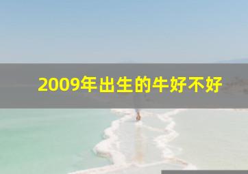 2009年出生的牛好不好