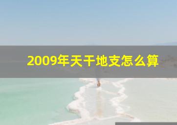 2009年天干地支怎么算