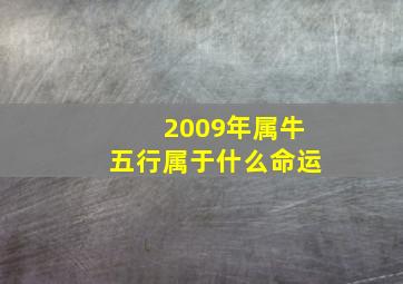 2009年属牛五行属于什么命运