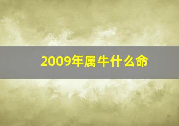 2009年属牛什么命